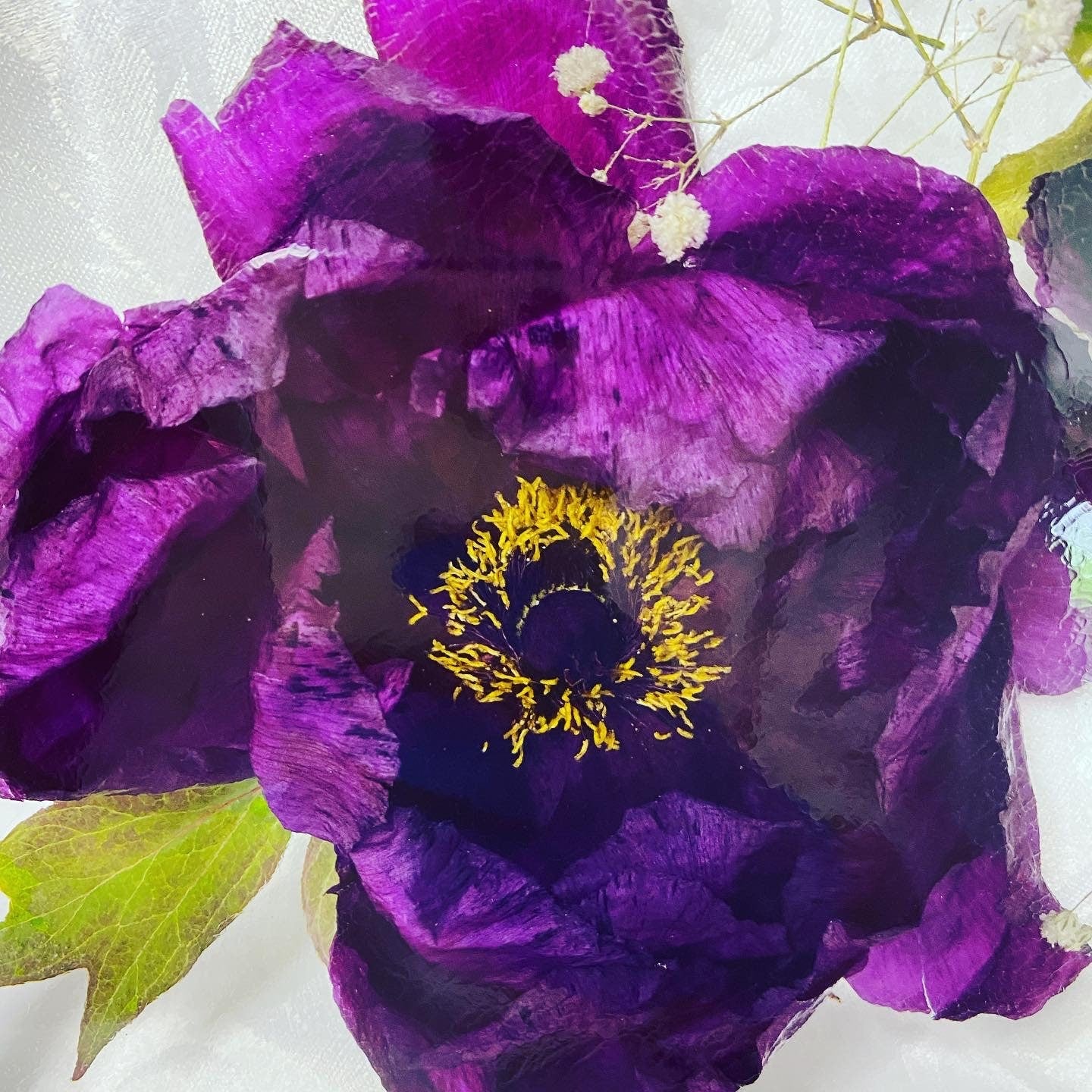 25cm Square Floral Block