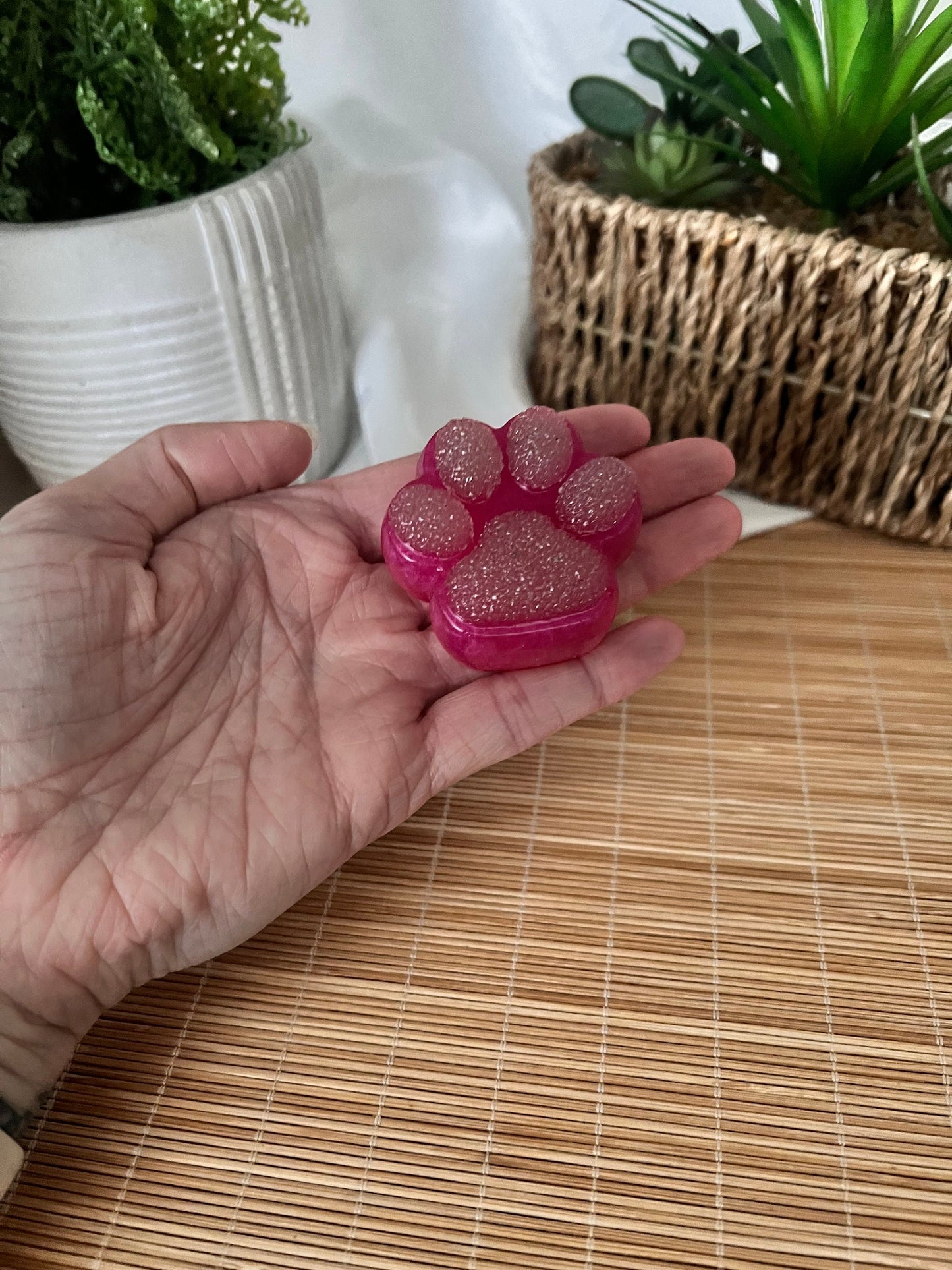 Pet Paw